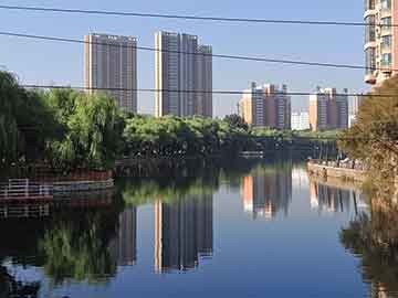 光绪元宝市场行情,光绪元宝市场行情——科技重塑古董魅力，光绪元宝的新生命