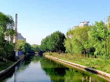 光绪元宝市场行情,光绪元宝市场行情——科技重塑古董魅力，光绪元宝的新生命