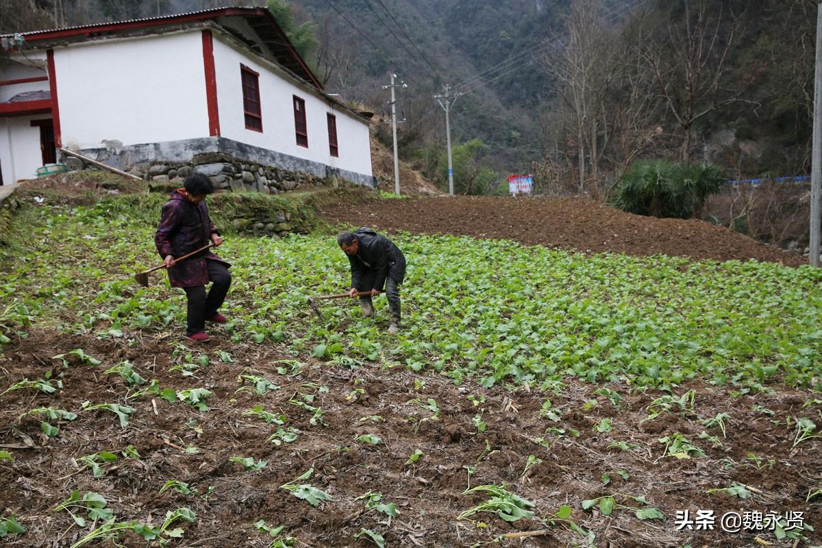 视光学技术开发 第150页