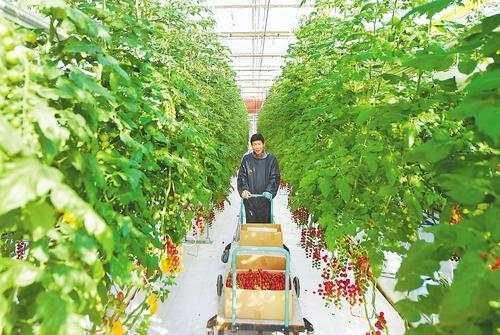 河北永清最新城市规划图,河北永清最新城市规划图，详细步骤指南（初学者/进阶用户适用）