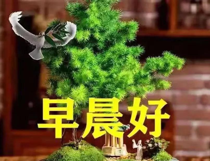 周末愉快最新图片,周末愉快最新图片，制作与分享指南