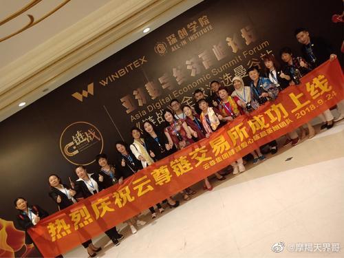 云尊币实时行情,云尊币的奇幻旅程，一段关于友情与陪伴的温馨故事