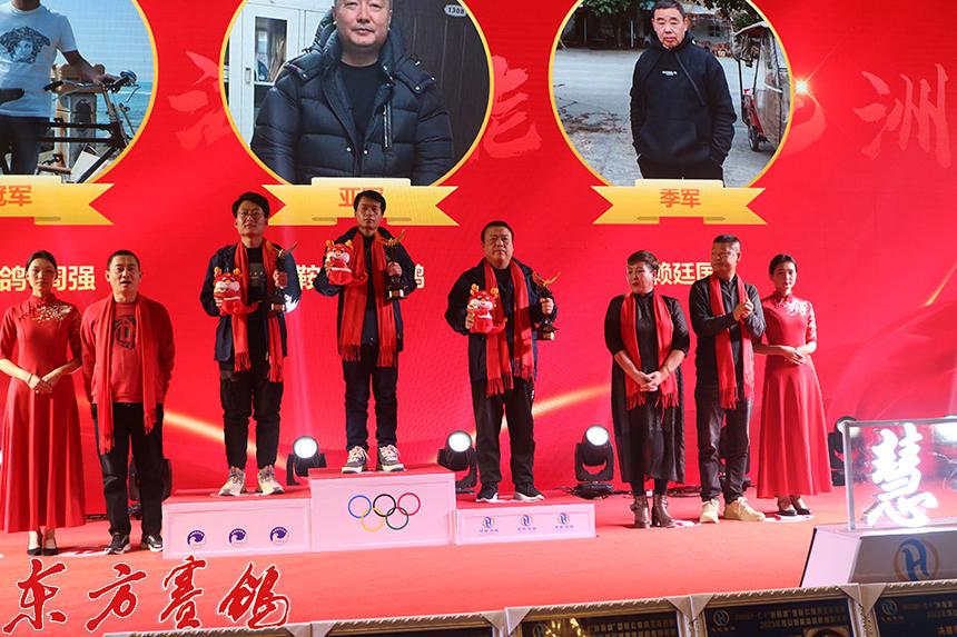 最新壹佰赛鸽公棚动态,最新壹佰赛鸽公棚动态，科技重塑赛鸽体验，引领未来鸽界新时代