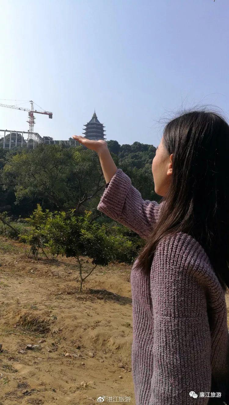 廉江最新新闻,廉江最新新闻，城市发展的多维度视角与观点探讨