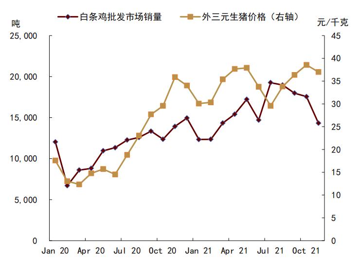 白条猪价格,白条猪价格，市场走势、影响因素及未来展望