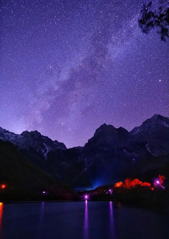 怎么追到明星,星光下的追逐，一段与明星的温馨日常故事