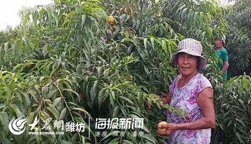 技术转让 第47页