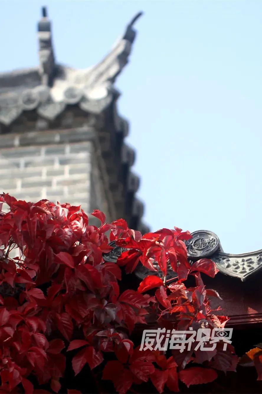 平面比赛,平面比赛，从屏幕到梦想，每一次点击都在书写传奇