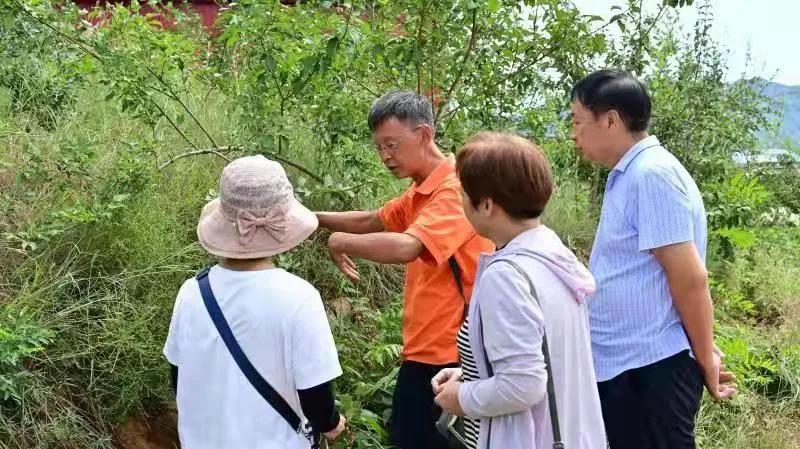 视光学技术开发 第43页