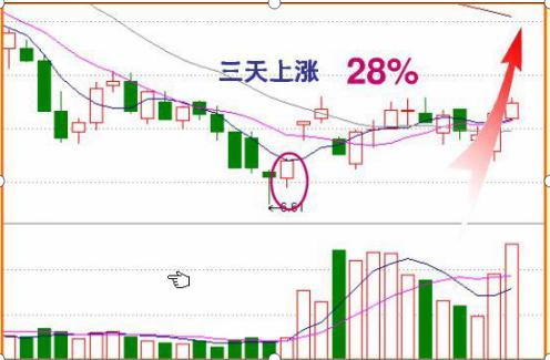 有什么股票,有什么股票？一文解读股票世界的奥秘