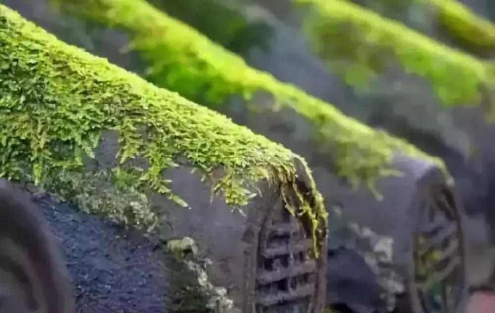 拈花湾门票价格,拈花湾门票价格，历史、变迁与影响