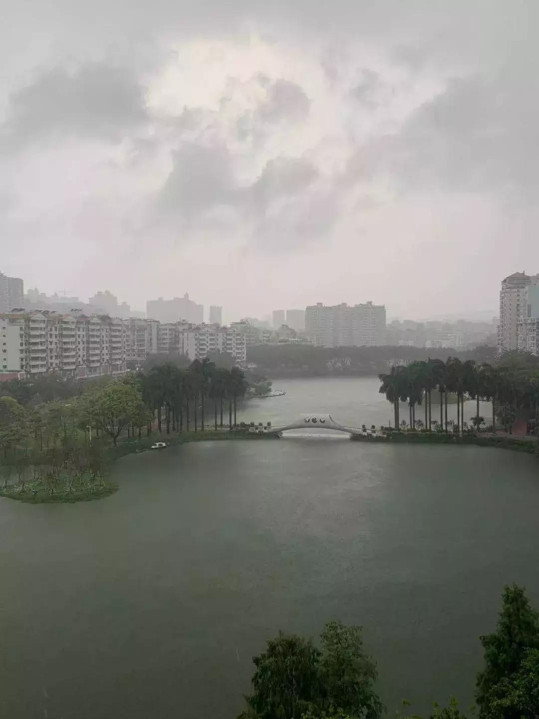 樱花动漫吗,樱花动漫之旅，探索自然美景，寻找内心的平静
