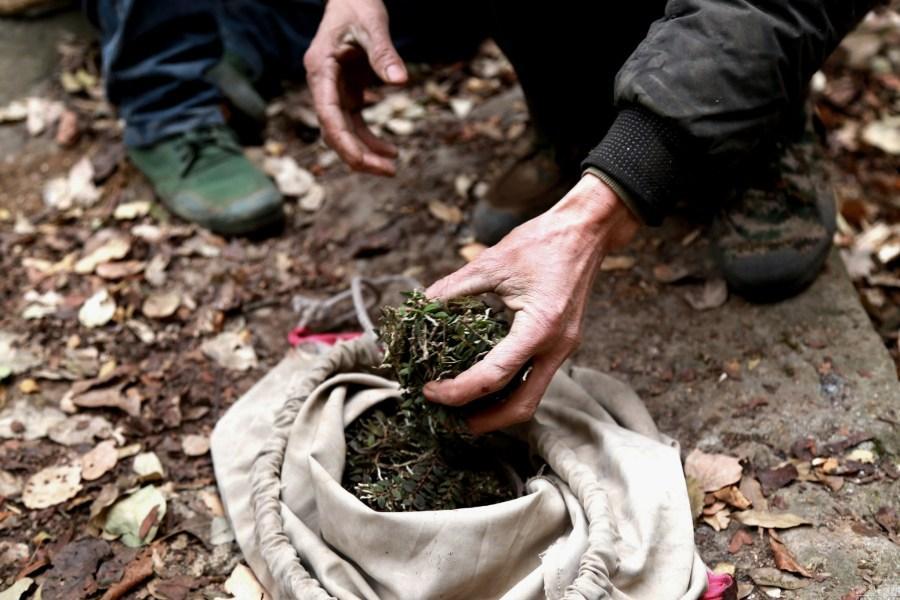 日月生物股票,📈 日月生物股票，深度解析与前景展望