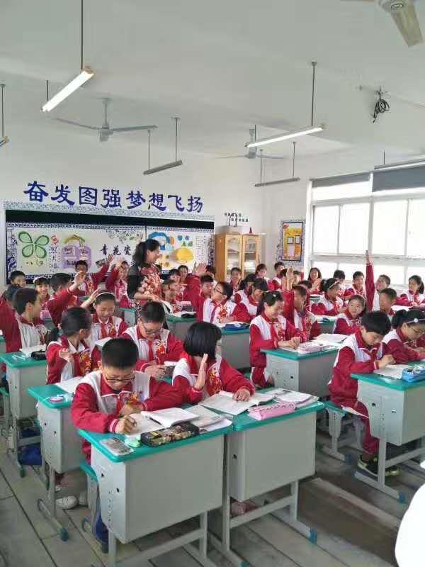 明星自考,明星自考，一场心灵与自然的完美邂逅