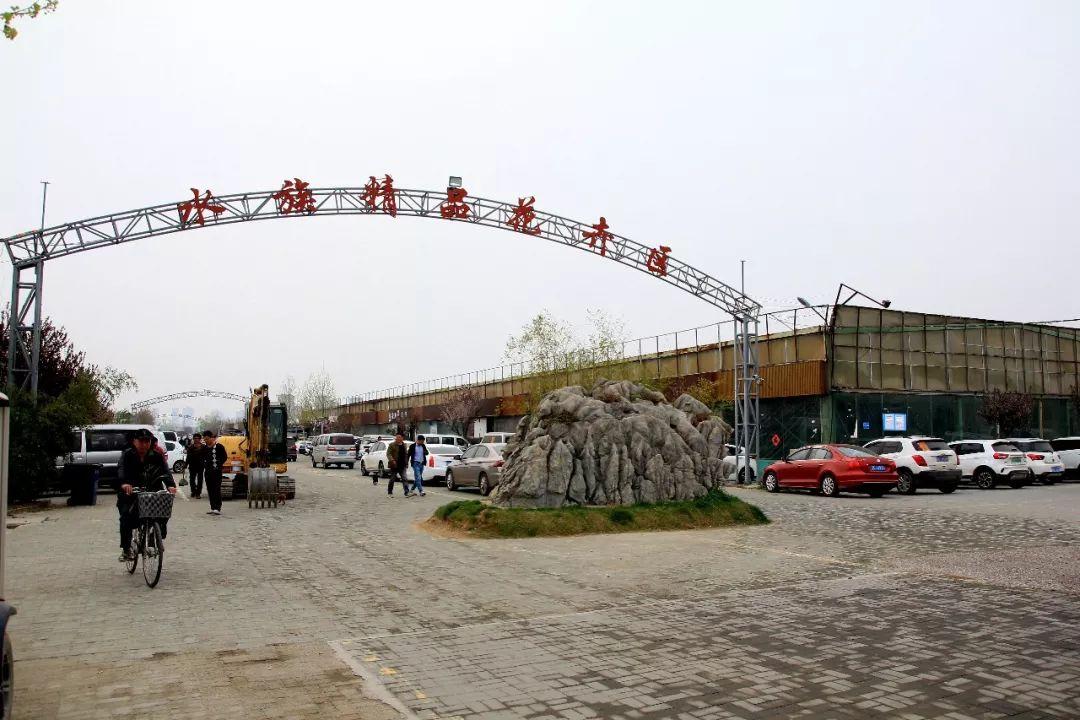花卉市场最新报价,花卉市场最新报价，多元因素下的市场走势分析