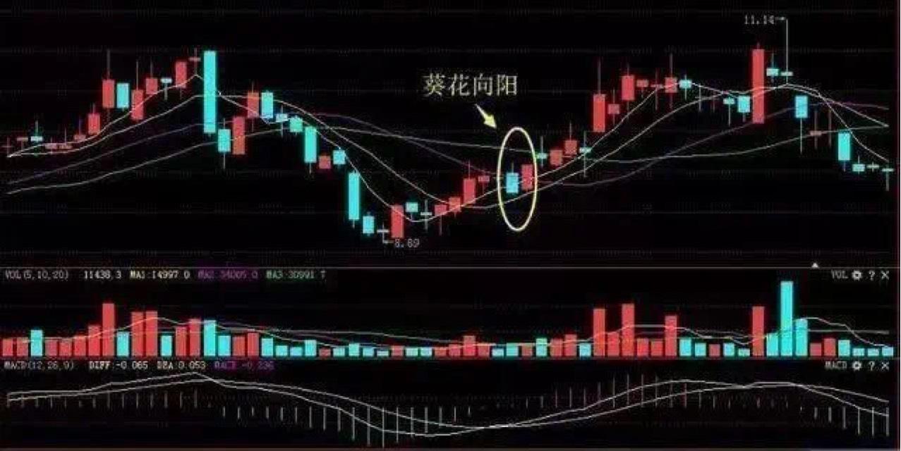 葵花价格行情,葵花价格行情一篇深度解析的文章🌻💃