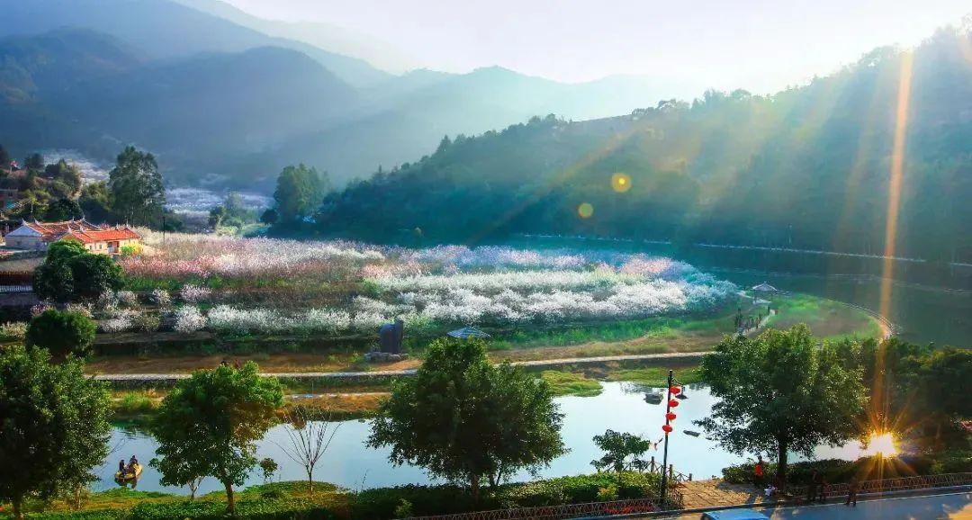 长泰最新楼盘,长泰最新楼盘，一场自然美景的探索之旅