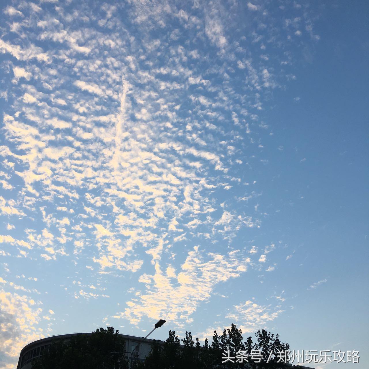 郑州棉花期货价格行情,郑州棉花期货价格行情分析