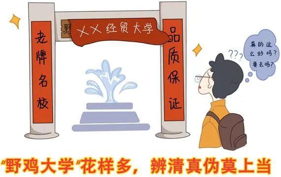 野鸡网最新平台,野鸡网最新平台，一段温馨有趣的日常故事