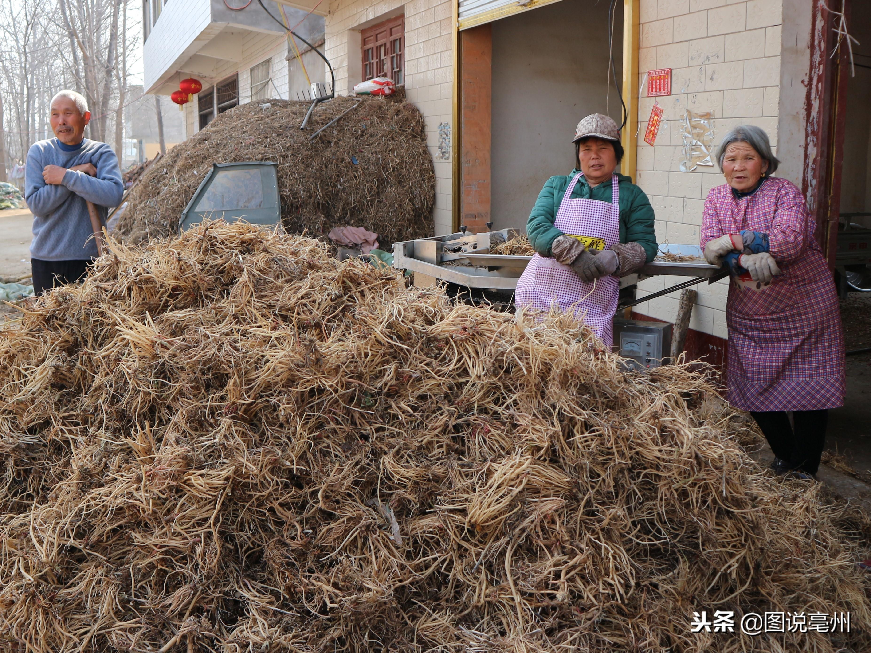 过磷酸钙50公斤价格,过磷酸钙，五十公斤背后的价格变迁与地位影响