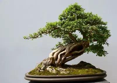 替汉新作,替汉新作，时代背景下的璀璨明珠