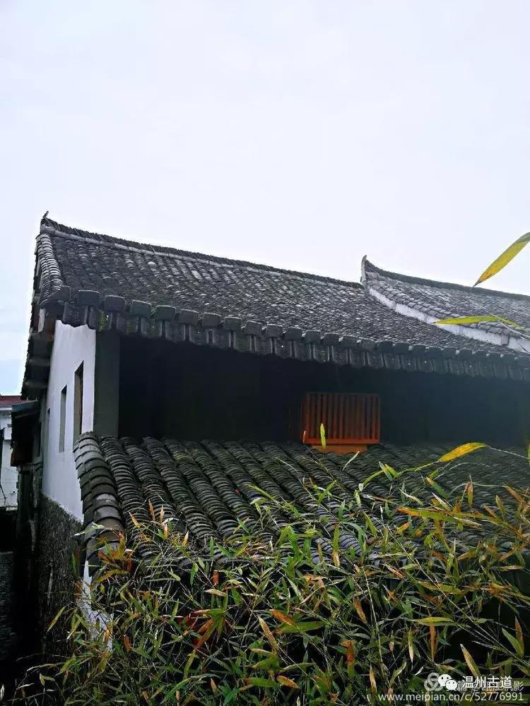 林永健电视剧,林永健电视剧，巷弄深处的隐藏瑰宝